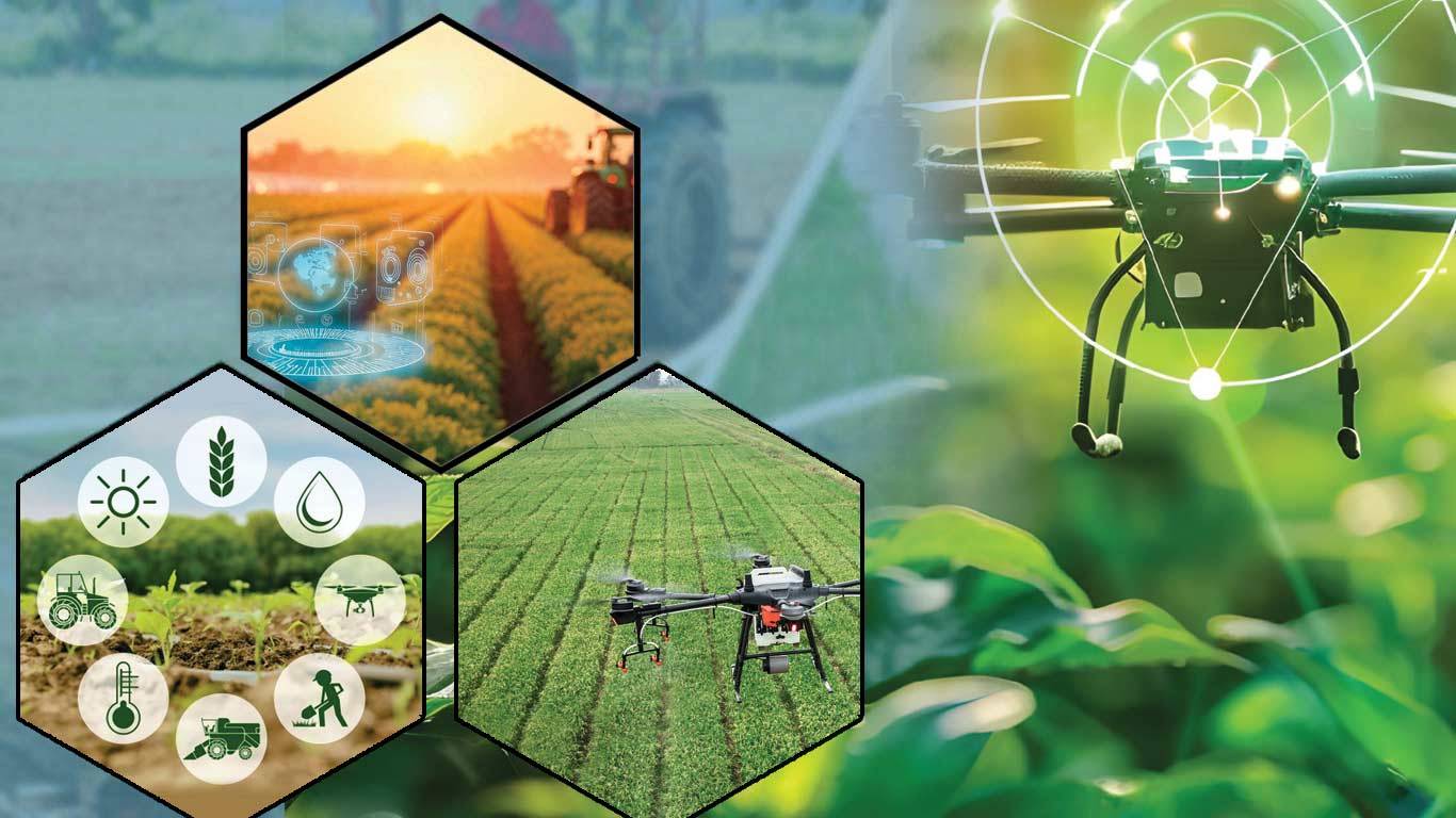 Home AGRi TECH 12 11 2025