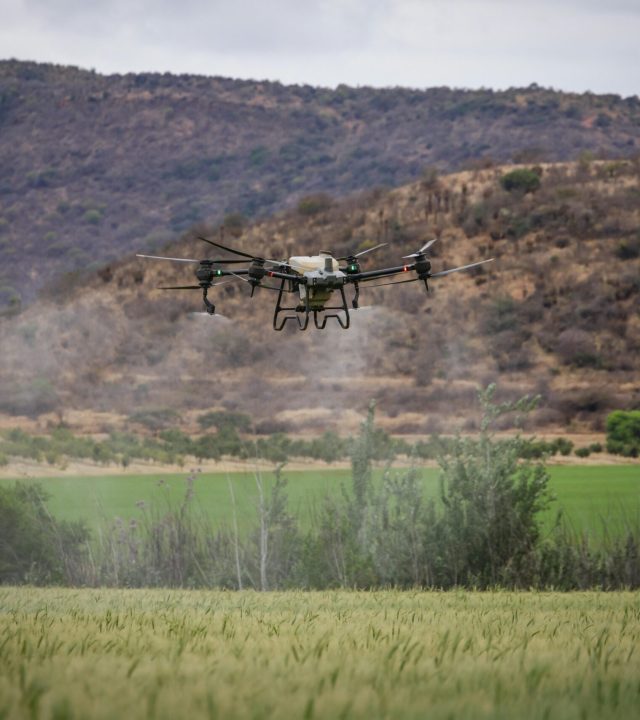 Drone flying over a green farm field with mountains in the background, showcasing agricultural technology.
